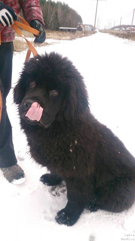 Фотография № 240199