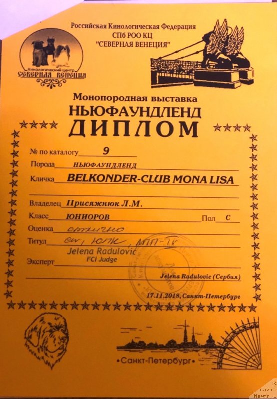 Фото: ньюфаундленд Белкондер-Клаб Мона Лиза (Belkonder-Club Mona Lisa)