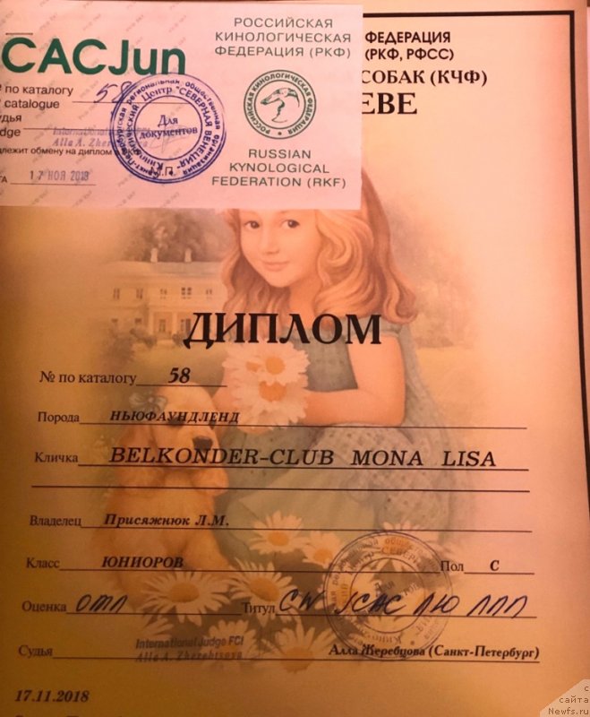 Фото: ньюфаундленд Белкондер-Клаб Мона Лиза (Belkonder-Club Mona Lisa)