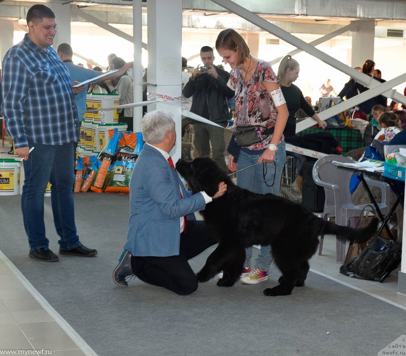 Фотография № 240218