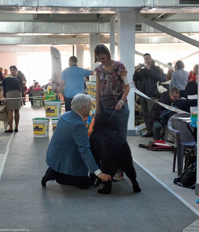 Фотография № 240219