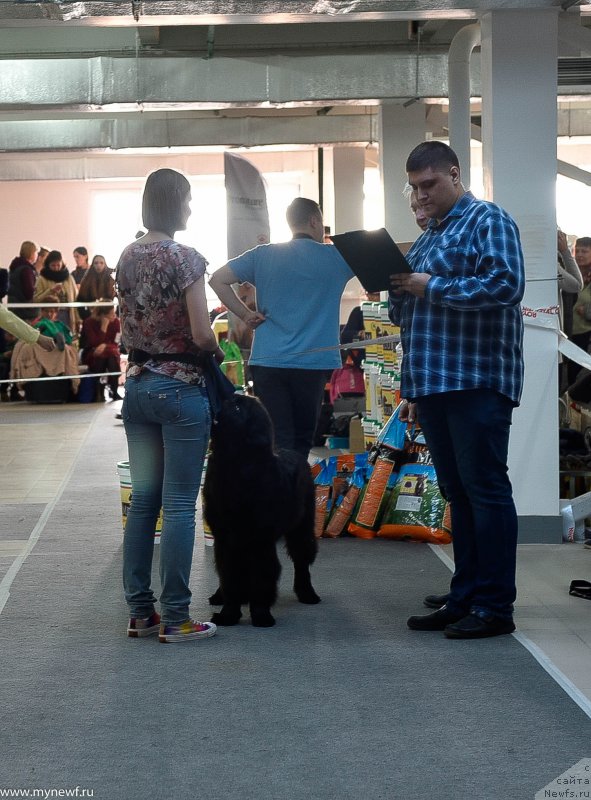 Фотография № 240220