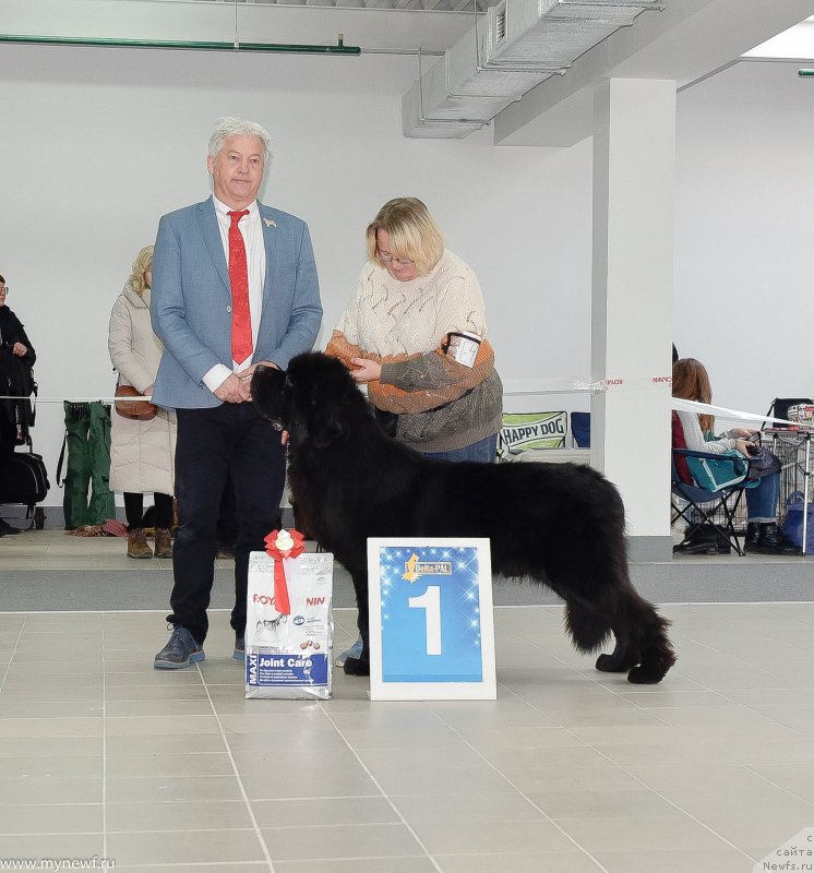 Фотография № 240226