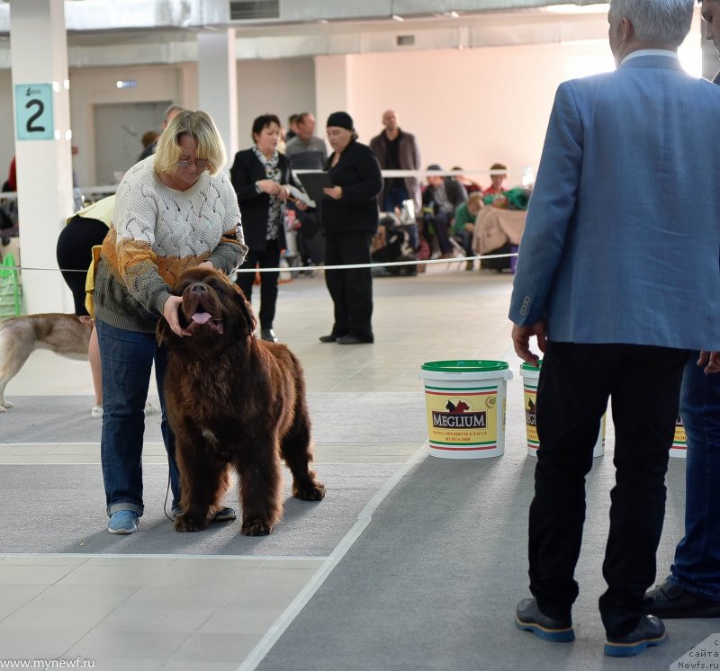 Фотография № 240227