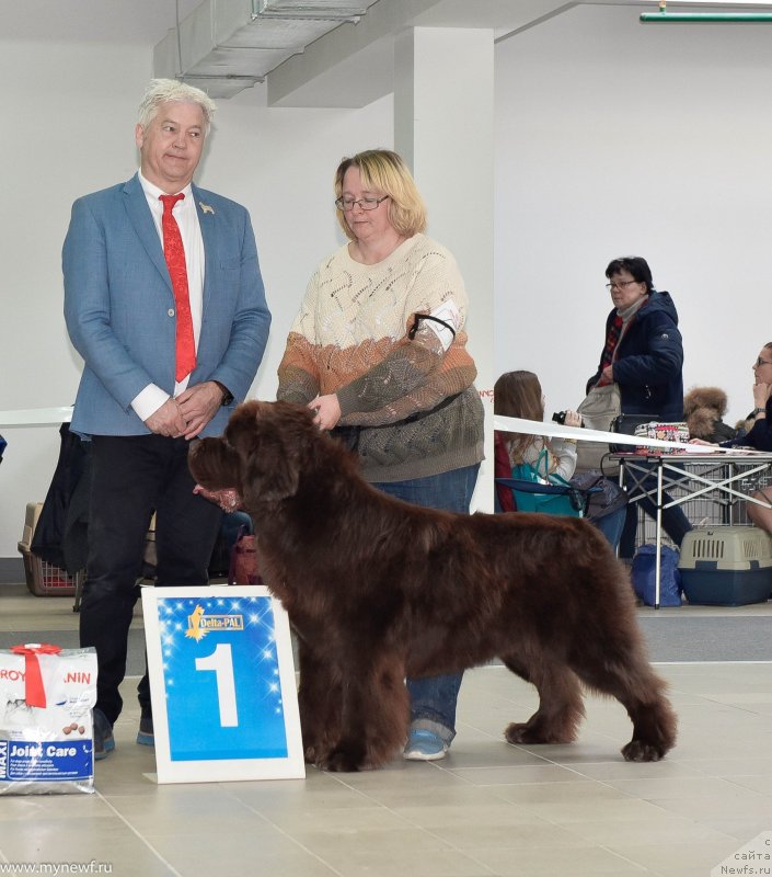 Фотография № 240228