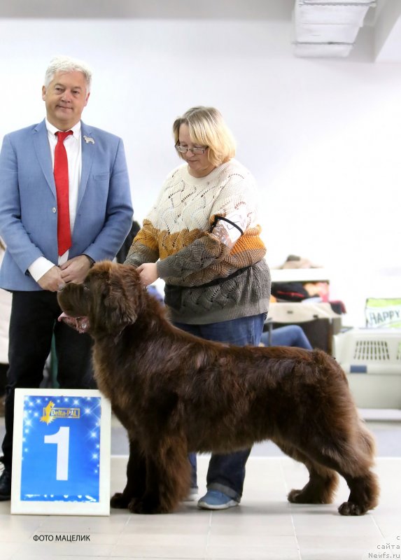 Фотография № 240229