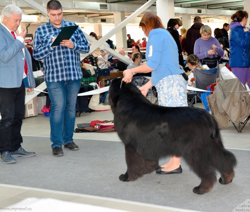 Фотография № 240230