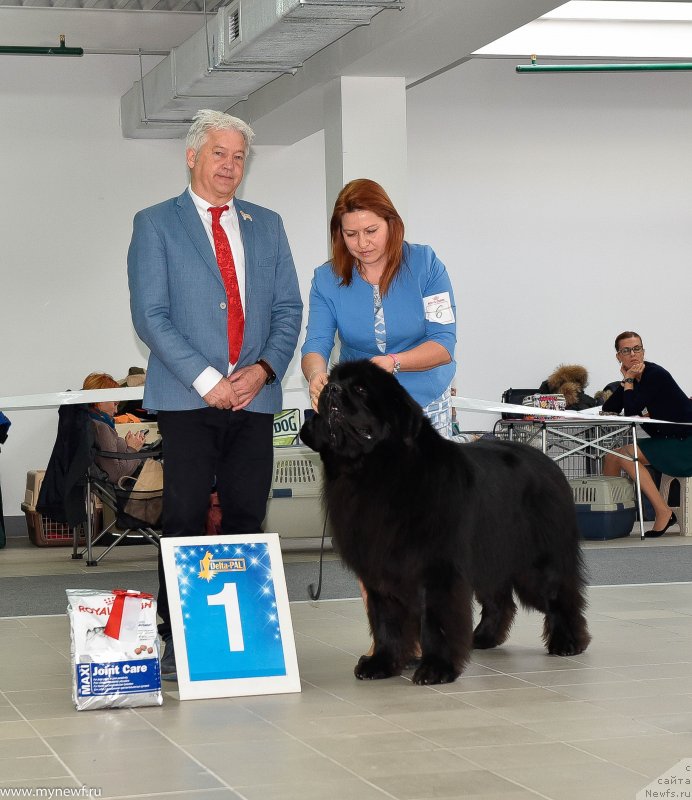 Фотография № 240231