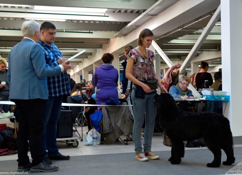 Фотография № 240239