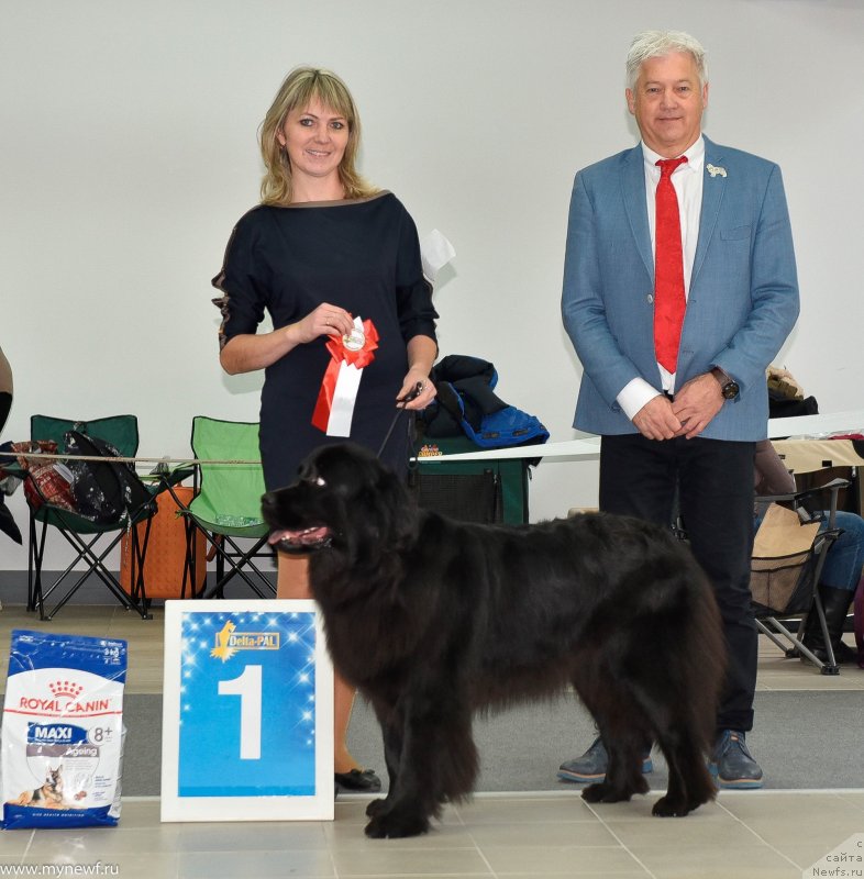 Фотография № 240240