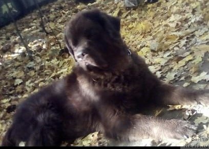 Фотография № 240243