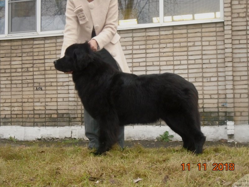 Фотография № 240245