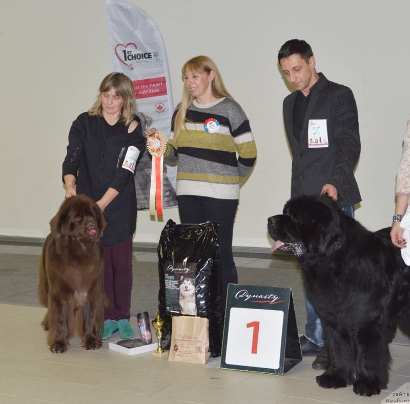 Фотография № 240247