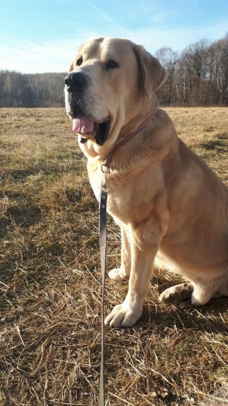 Фотография № 240248