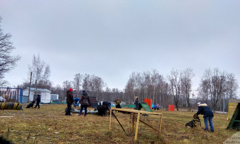 Фотография № 240251