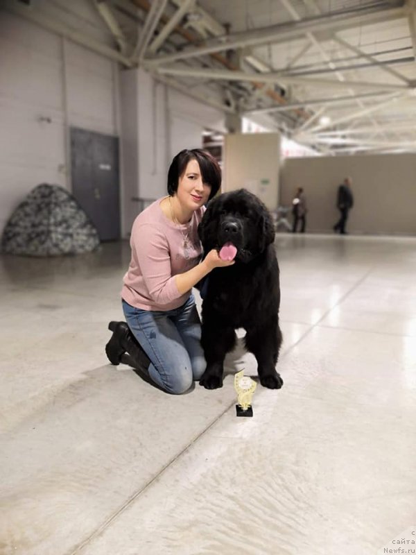 Фотография № 240258