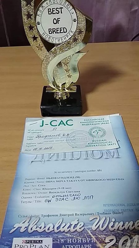 Фотография № 240259