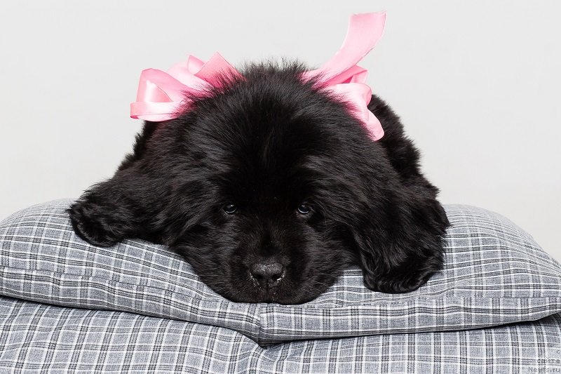 Фото: Ясно Солнышко Ясмина