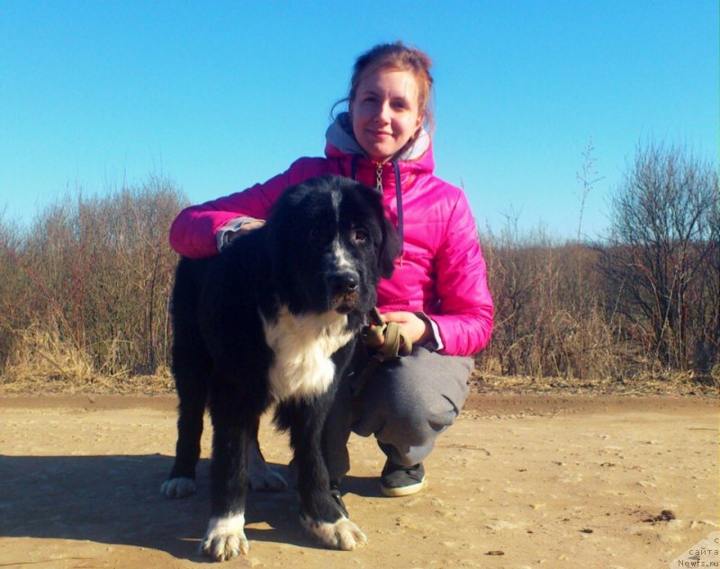 Фотография № 240267