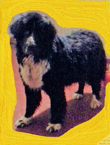 Фотография № 240272