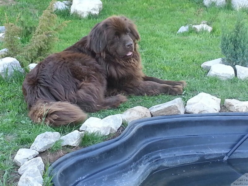 Фотография № 240284