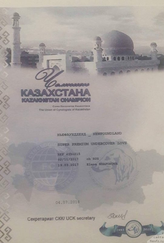 Фотография № 240336