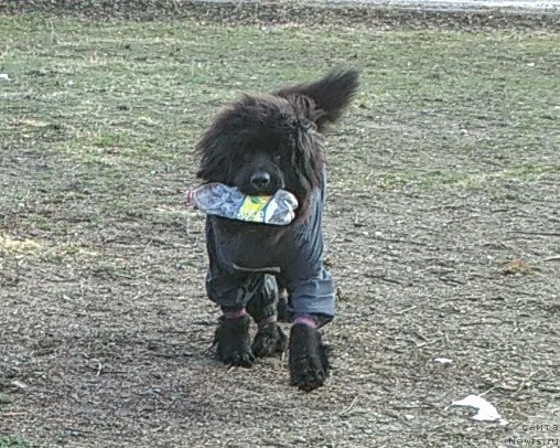 Фотография № 240346