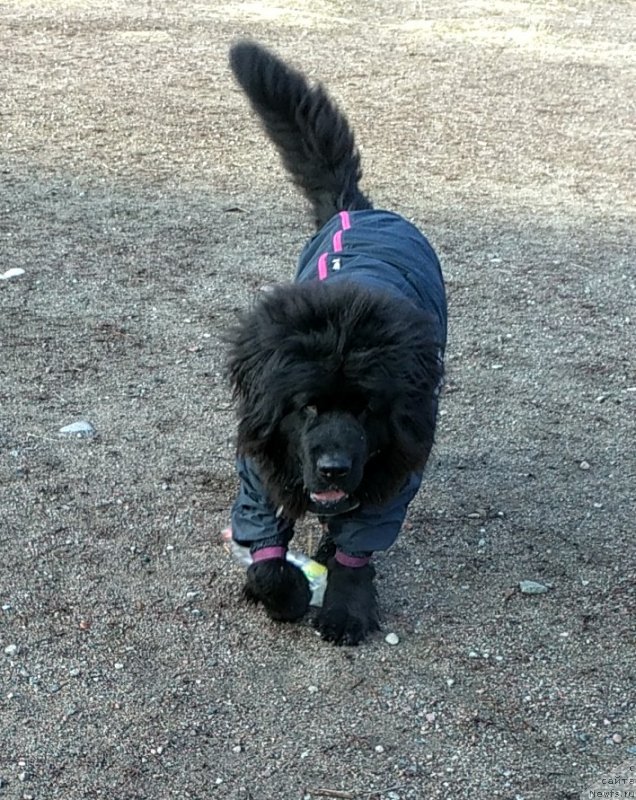 Фотография № 240347