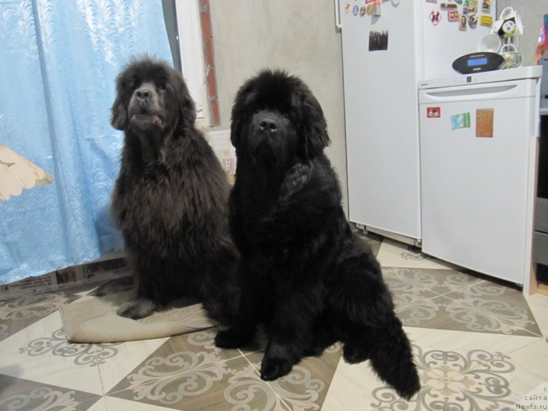 Фотография № 240380