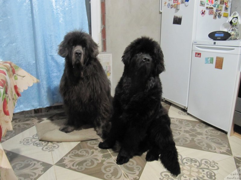 Фотография № 240381