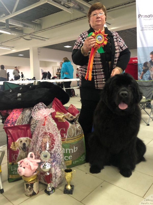 Фотография № 240406