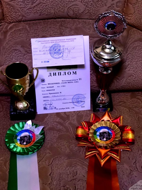 Фотография № 240407