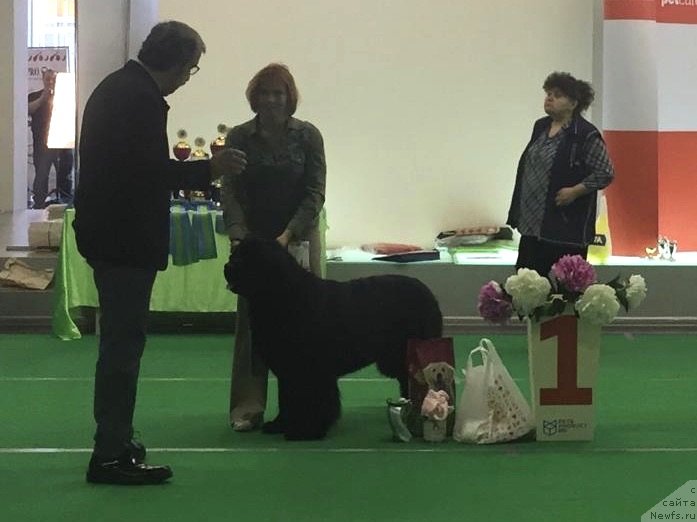 Фотография № 240409