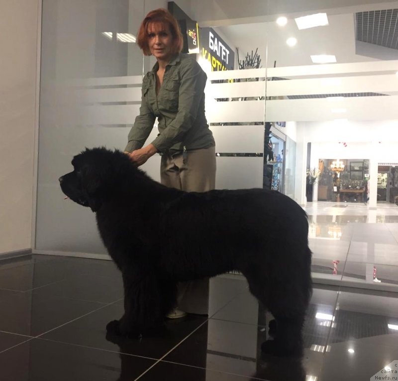 Фотография № 240410