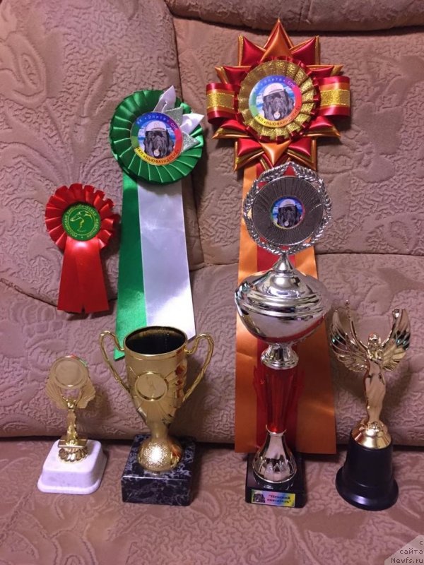 Фотография № 240412