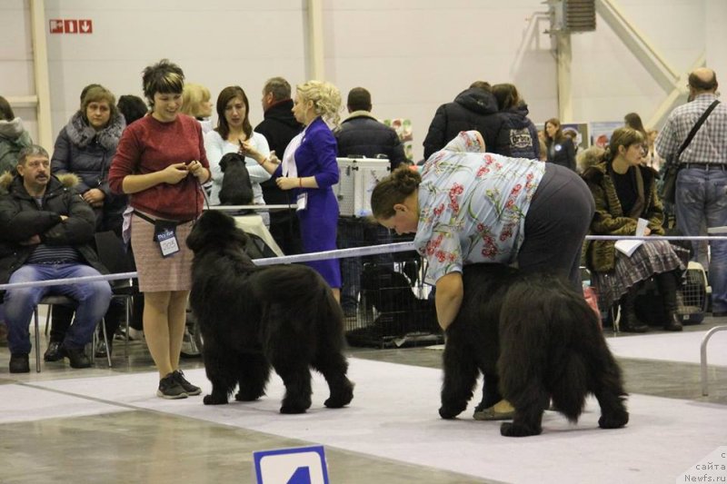 Фотография № 240423