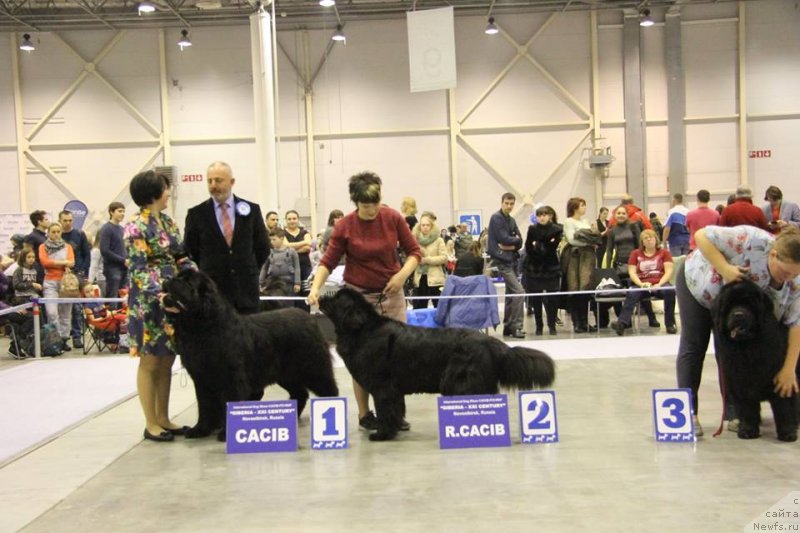 Фотография № 240425