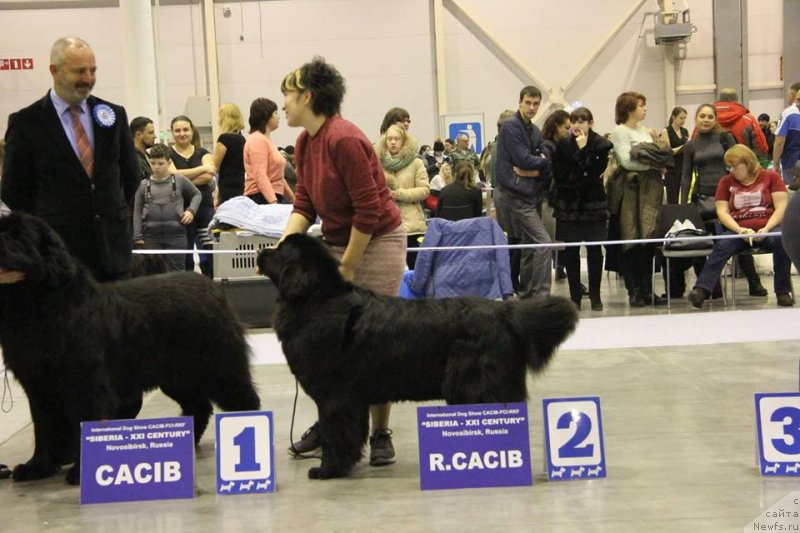 Фотография № 240426