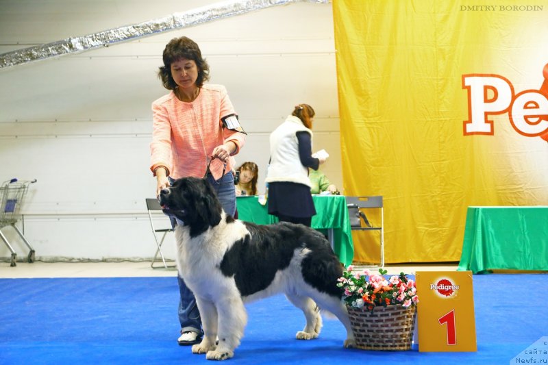 Фотография № 240431