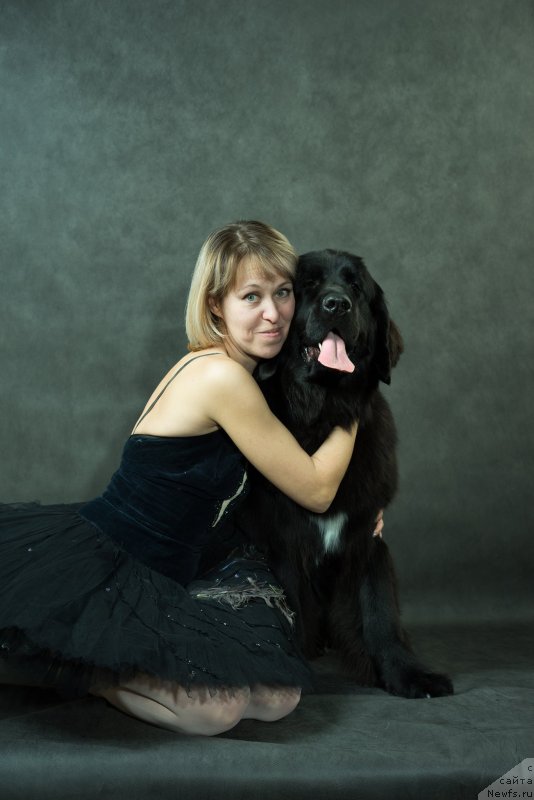 Фото: ньюфаундленд Лаской Согревающая Лаика (Laskoy Sogrevayuschaya Laika), ньюфаундленд Лаской Согревающая Лаика (Laskoy Sogrevayuschaya Laika), Елена Казанцева