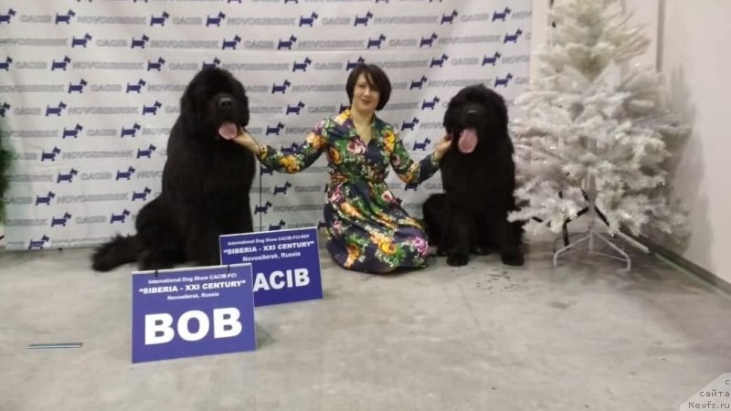 Фотография № 240453