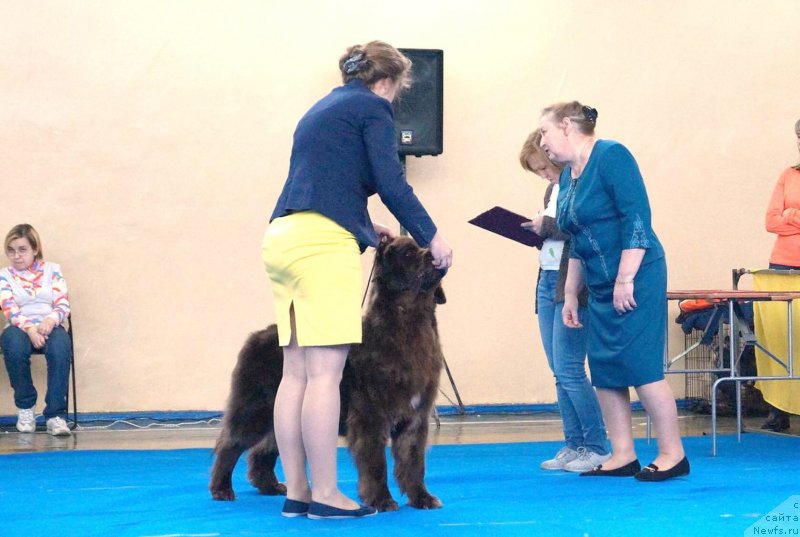 Фотография № 240545