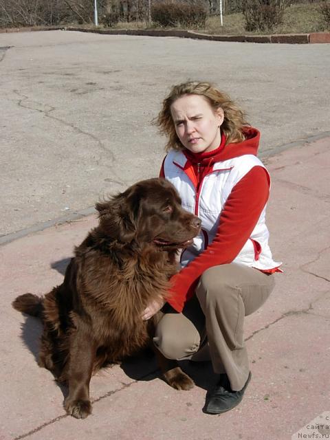 Фото: Диана Ларина, ньюфаундленд Лесная Сказка Изабелла