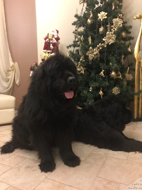 Фотография № 240596