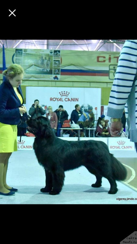 Фотография № 240608