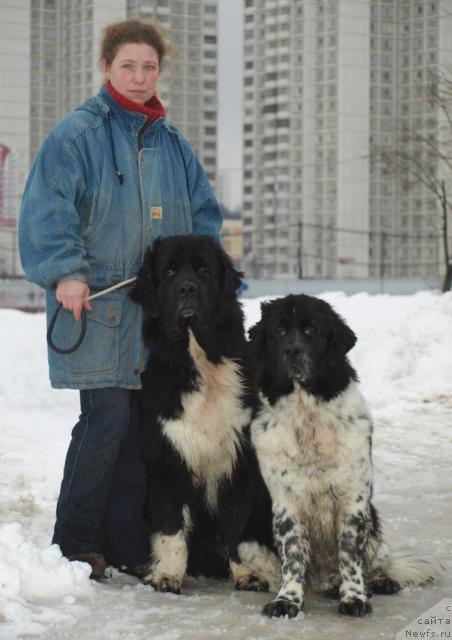 Фотография № 24061