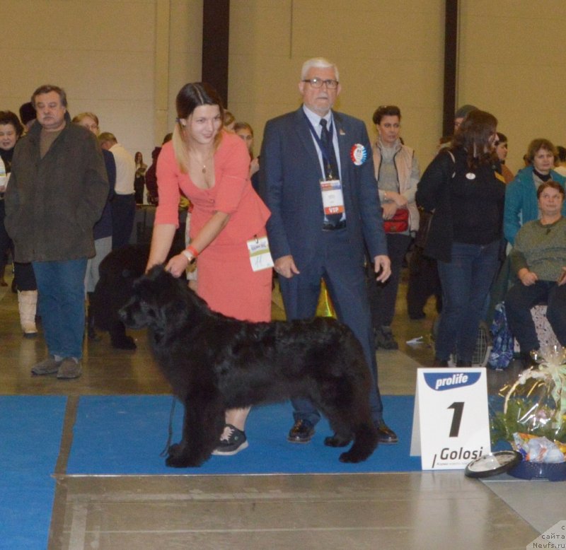 Фотография № 240611