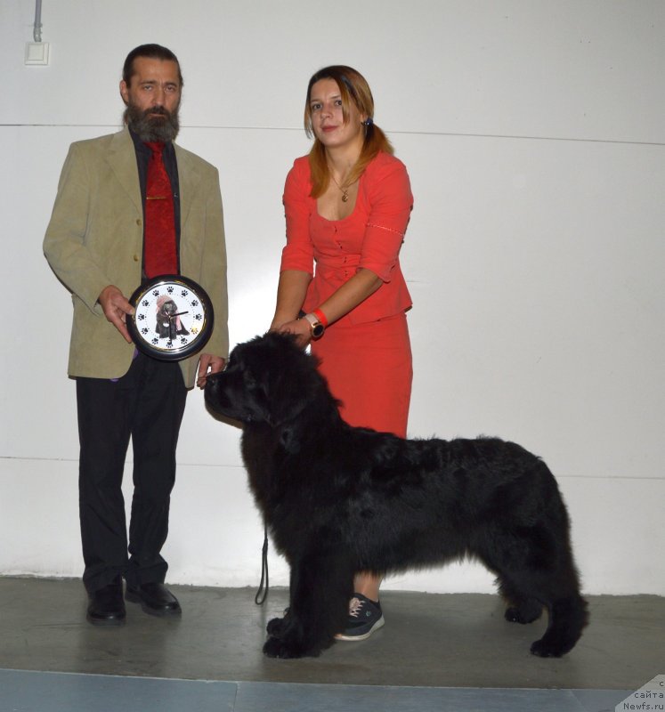 Фотография № 240612