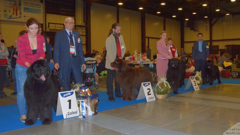 Фотография № 240632