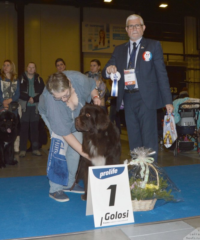 Фотография № 240633